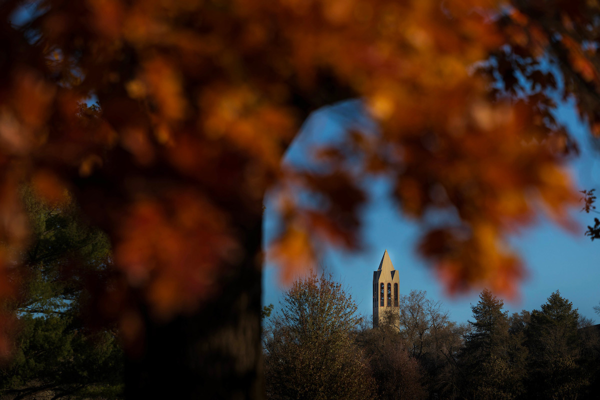 The campanile in fall as seen from Elmwood Park