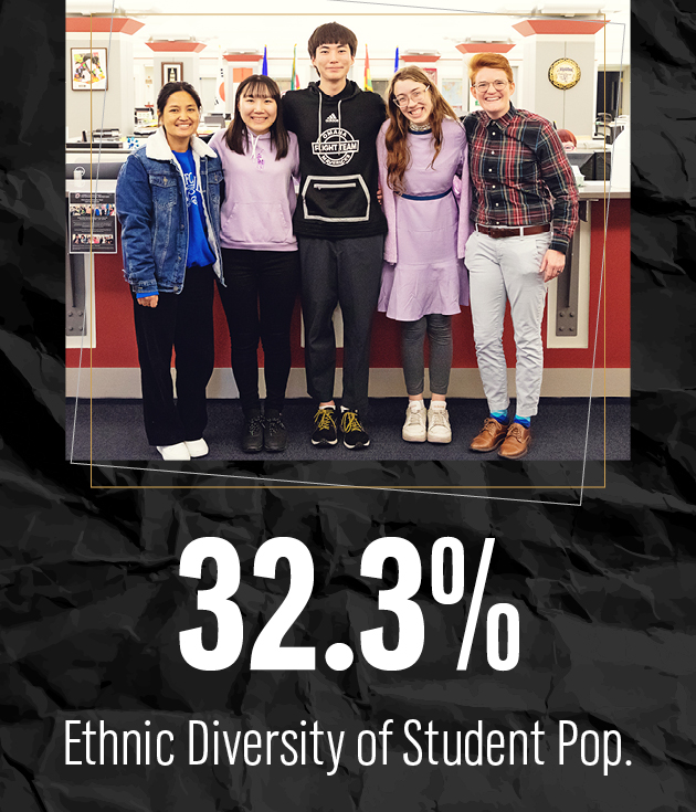 32.3 ethnic diversity of student population