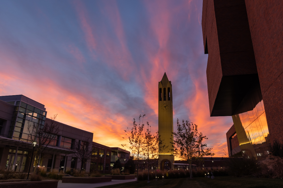 The campus campanile at sunset.