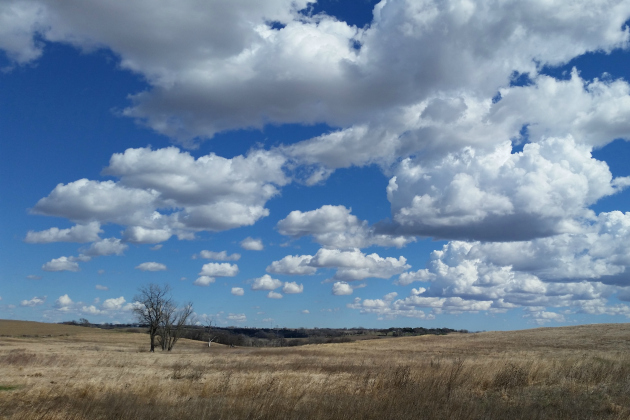 Research at Glacier Creek | Glacier Creek Preserve | University of ...