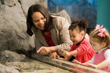 a woman smiles as she looks at a zoo exhibit with two young children