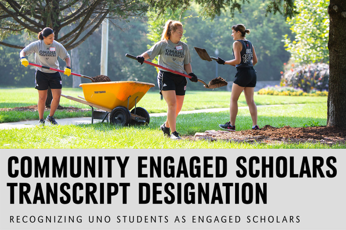 community engaged scholars designation