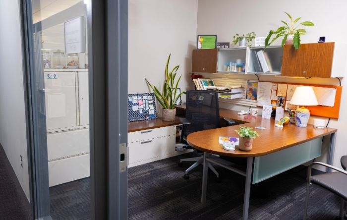 Private office with an L-shaped desk, office chair, visitor chair, storage cabinets, shelving, and potted plants.