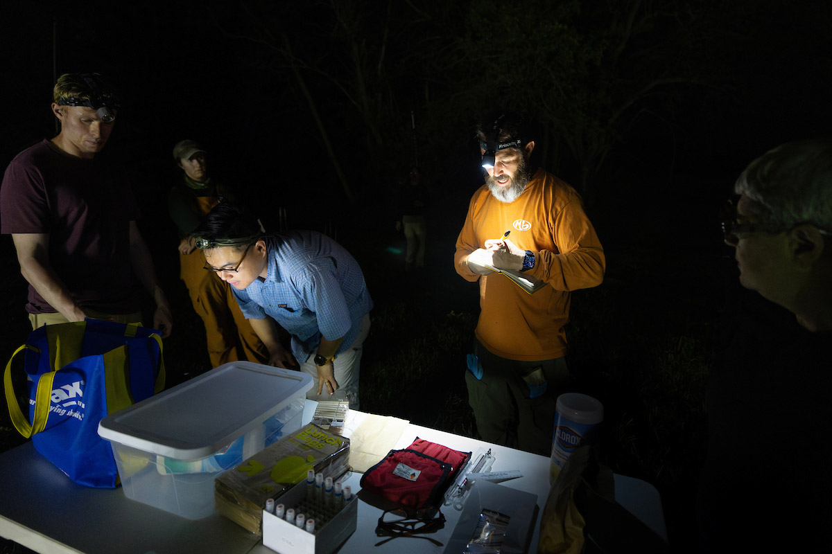 UNO Researcher Han Li, Ph.D., and his Graduate Assistant, Evan Wigley, prepare for a long night of catching and studying bats. 